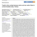 Our new research article has been published!