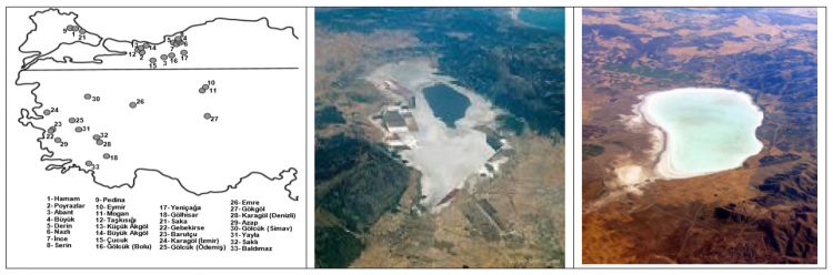 Figüre 1: Solda ODTÜ tarafından örneklenmiş Türkiye’deki göller, Orta ve sağdaki, güçlü bir tuz etkisini maruz kalmış tuzlu göller (Acıgöl ve Palas Tuzla gölü).