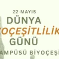 Uluslararası Biyolojik Çeşitlilik Günü’nü ve Orta Doğu Teknik Üniversitesi kampüsünün eşsiz biyoçeşitliliğini kutladık!